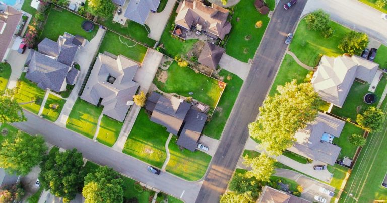 aerial view of green trees and white flowers